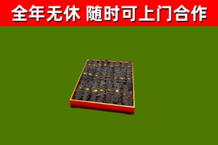 岳西县回收海参